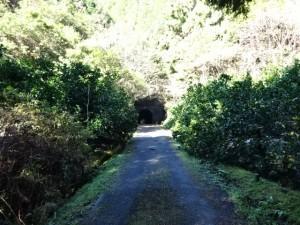 熊井トンネル (19)
