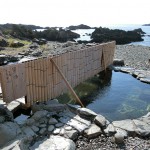 【屋久島】湯泊温泉に行ってみた!
