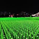 【大井競馬場】東京メガイルミに行ってきた!