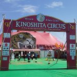 【木下大サーカス】埼玉公演に行ってみた!